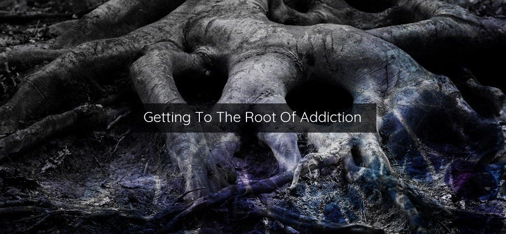 Getting To The Root of Addiction - What Addiction Looks Like & Understanding The Hall Marks of Addictive Behaviour.
