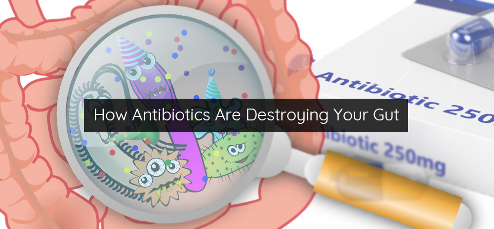 How Antibiotics Are Destroying Your Gut & 5 Alternative Methods To Antibiotics. Clarity Natural Health.